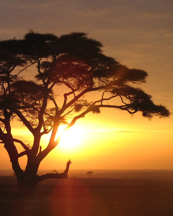 Africa